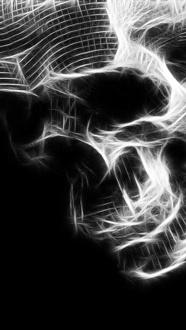 Skull Skeletons X-rays - Bing images