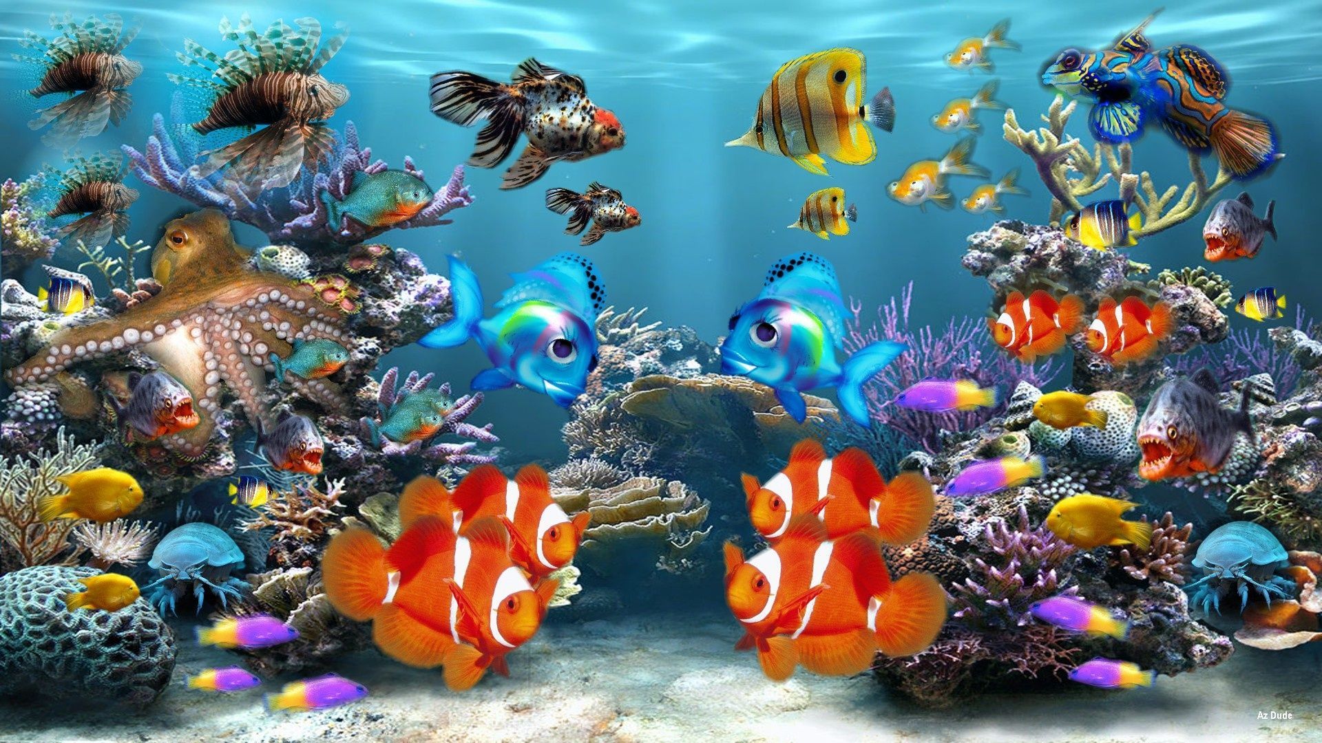 Beautiful Fish HD Wallpapers Free Download