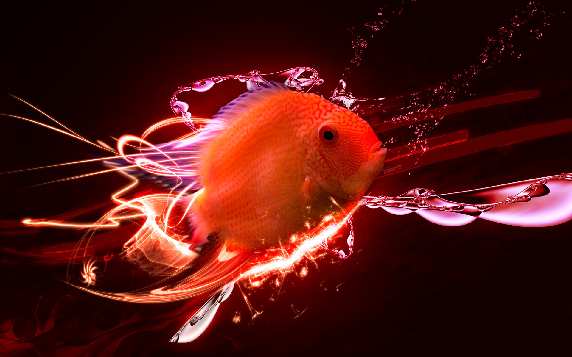 10 Best Photos of Free 3D Fish Desktop Backgrounds Wallpapers