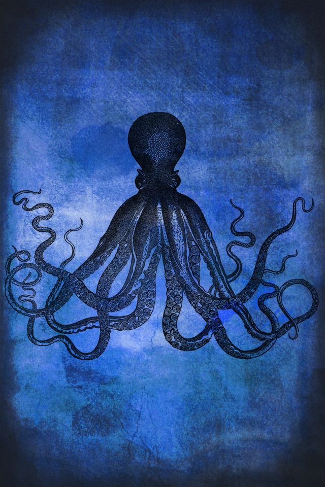 Avast! Sea Monster Wallpapers for iPhone : Wataingi Media