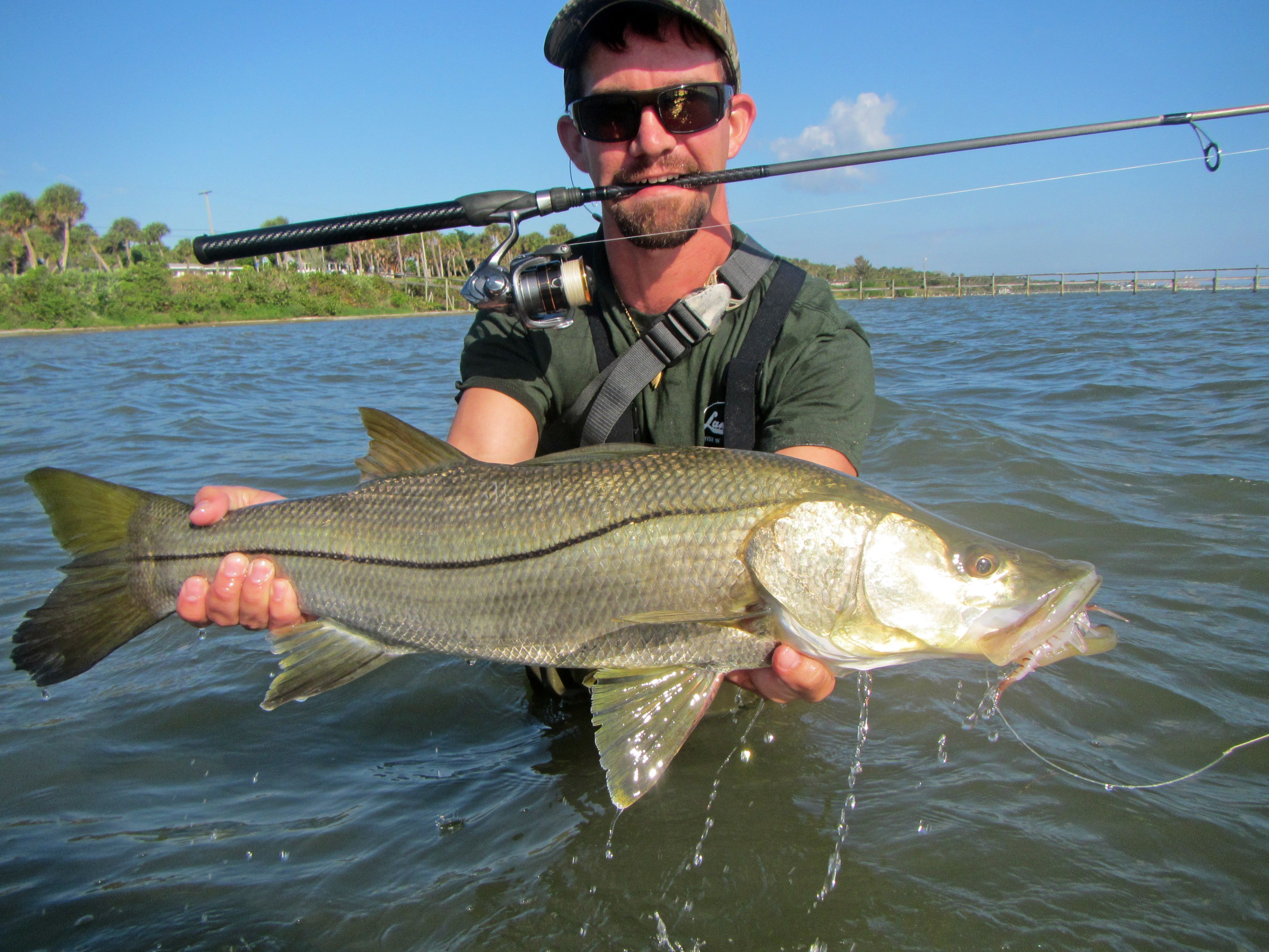 Snook Are On Fire | YakAngling