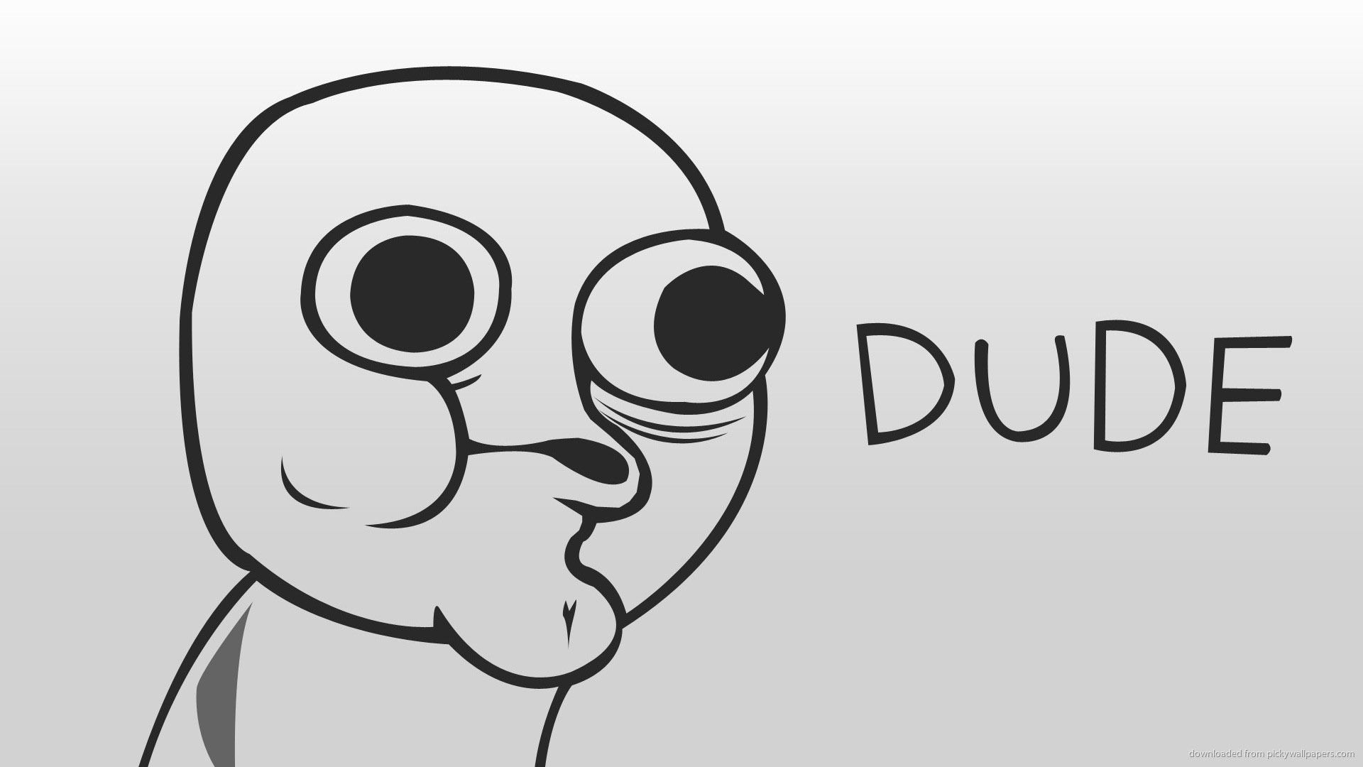 Dude Meme Hd Wallpaper 19201080 13970 A2zHDBackgrounds