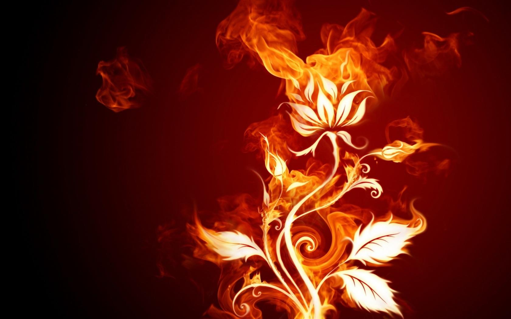 Fire Widescreen hd Wallpapers | Only hd wallpapers
