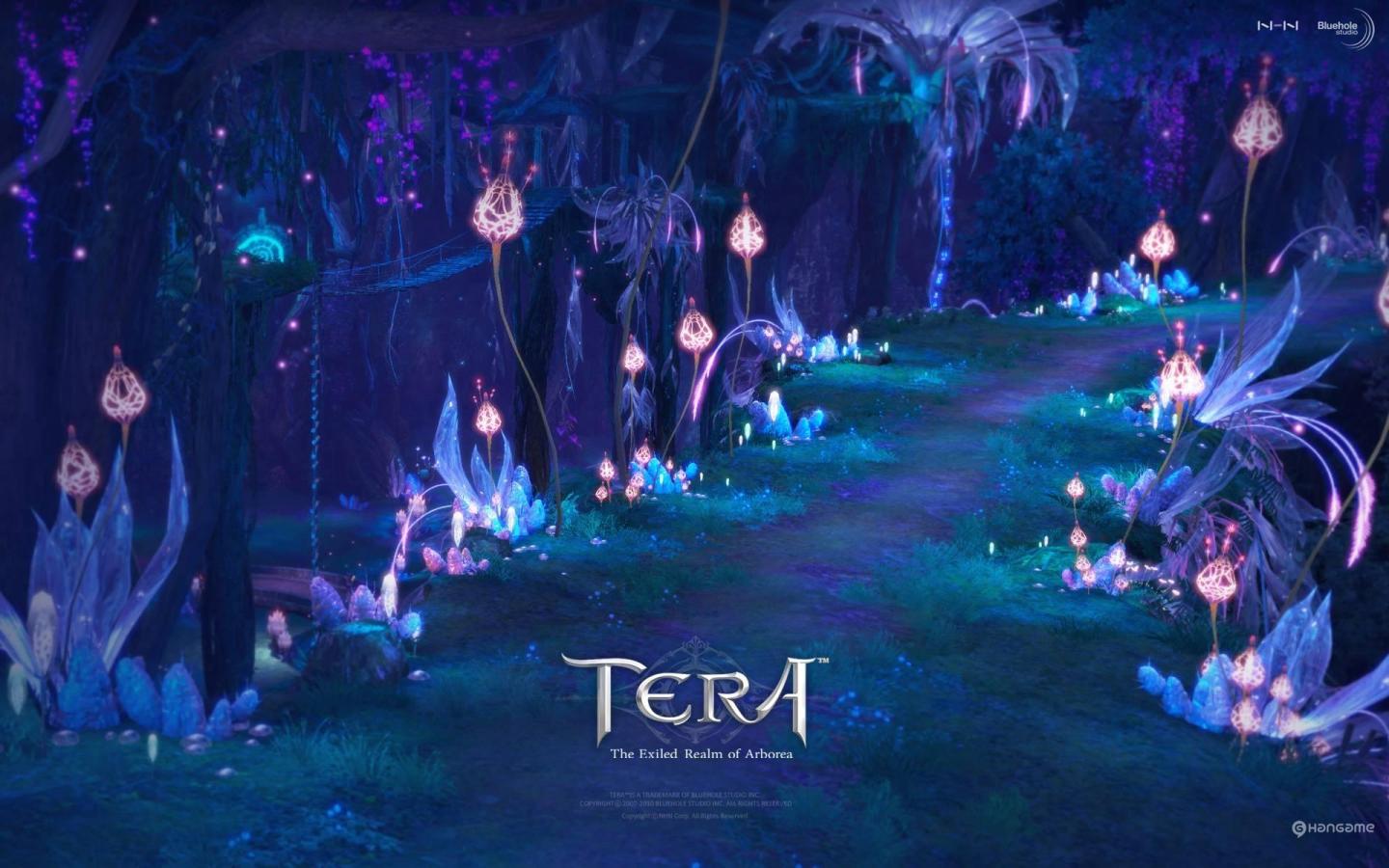 TERA Korean online games 1440x900 Wallpapers, 1440x900 Wallpapers