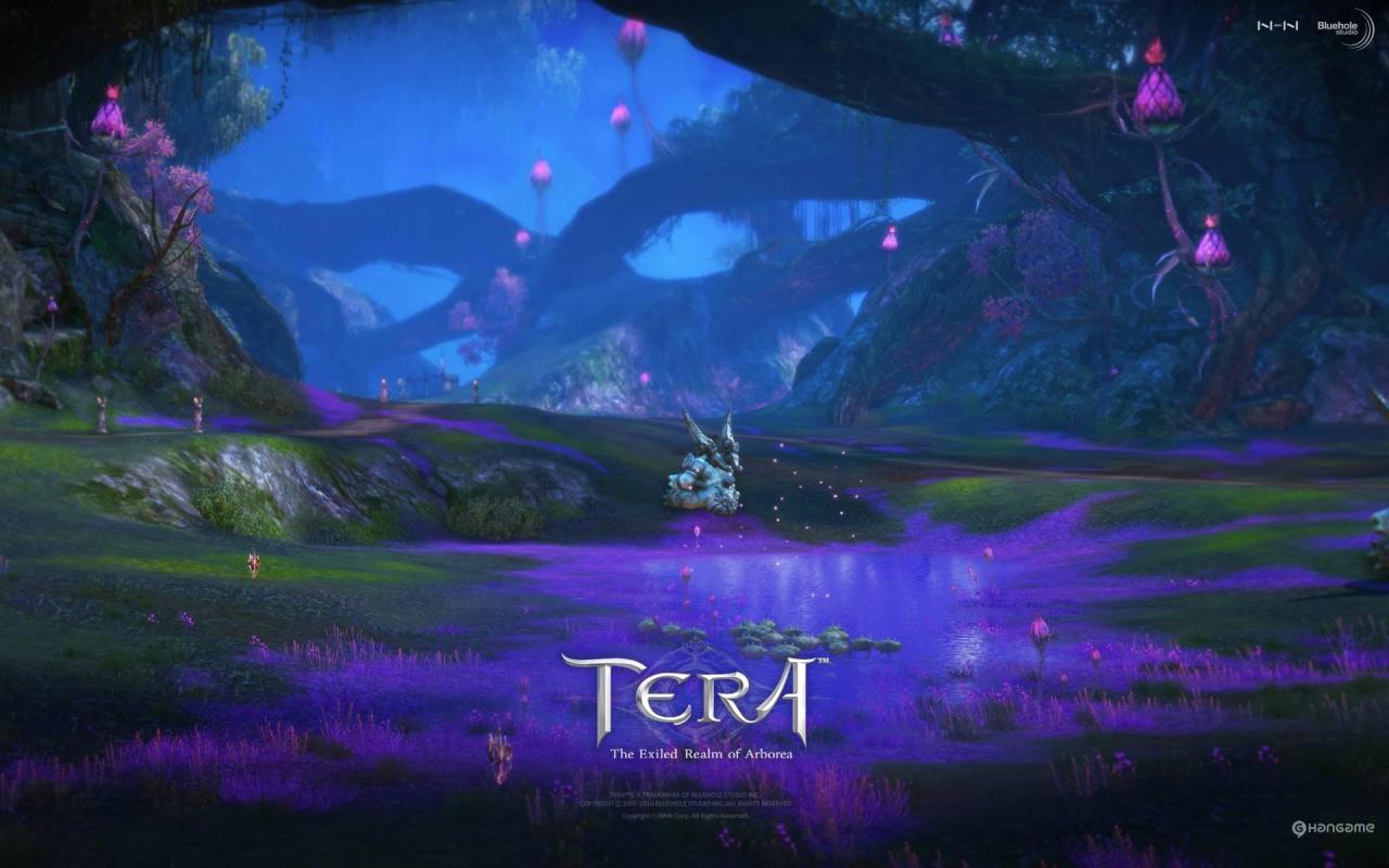TERA Korean online games 1280x800 Wallpapers, 1280x800 Wallpapers