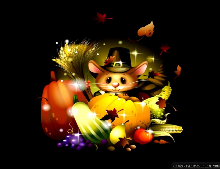 Thanksgiving Wallpaper Free Photo Backgrounds