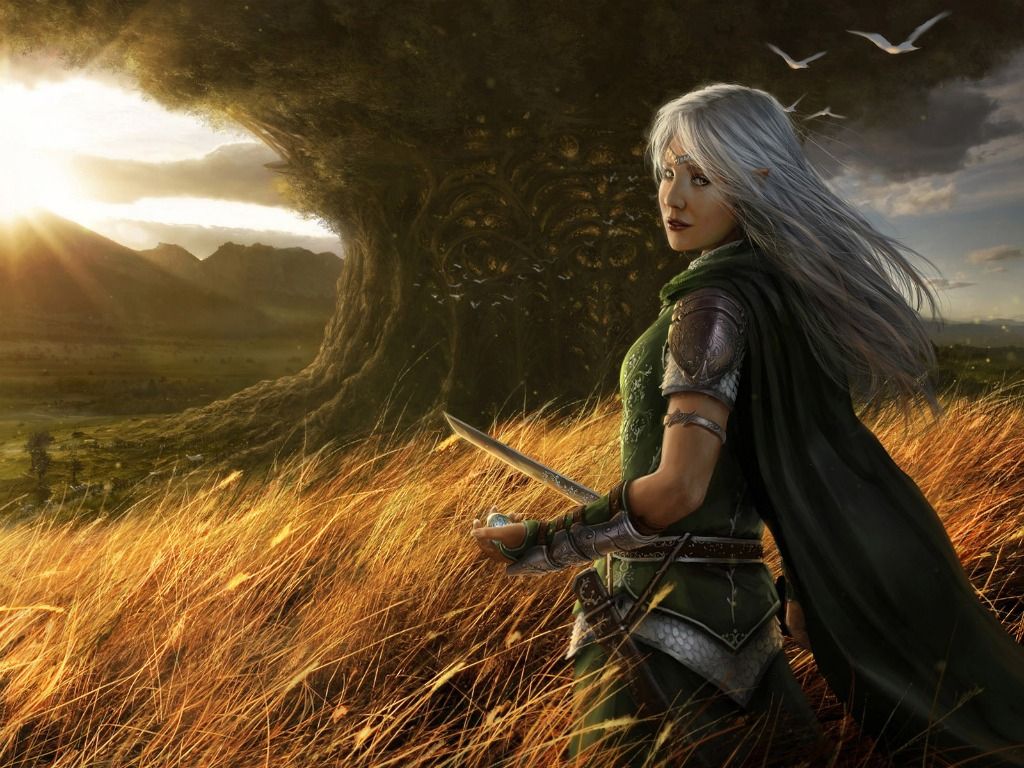 Gallery for - warrior woman wallpaper