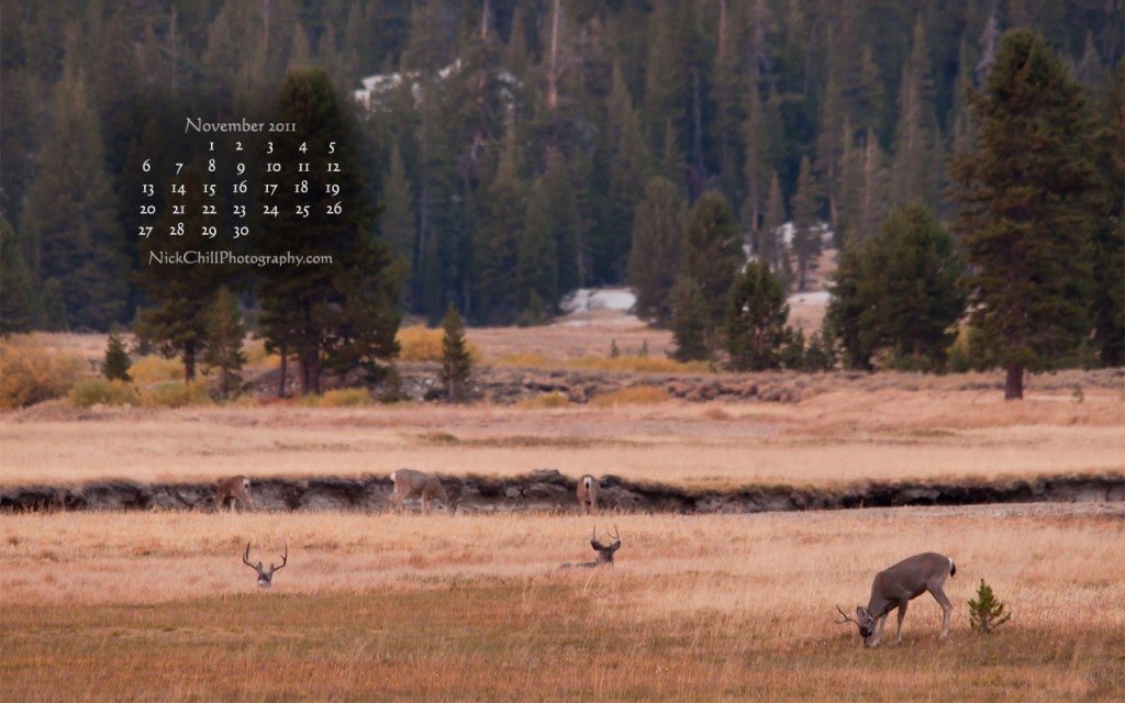 November Free Desktop Wallpaper Calendar Nick Chill Photography