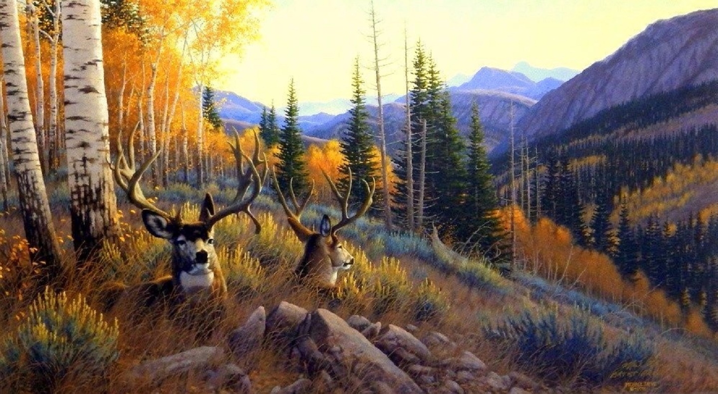 Deer Summer Mule Deer Paintings Animals Love Seasons Draw Paint ...