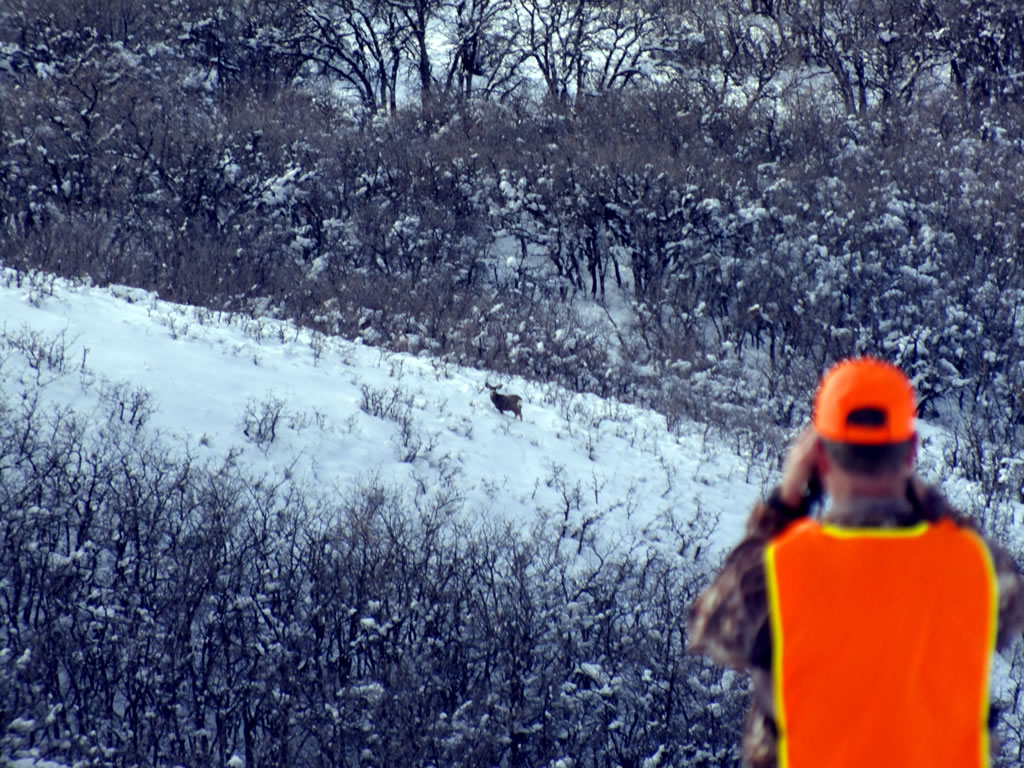The DIY Hunter - Big Game Hunting — Mule Deer, Elk, Whitetail Deer ...