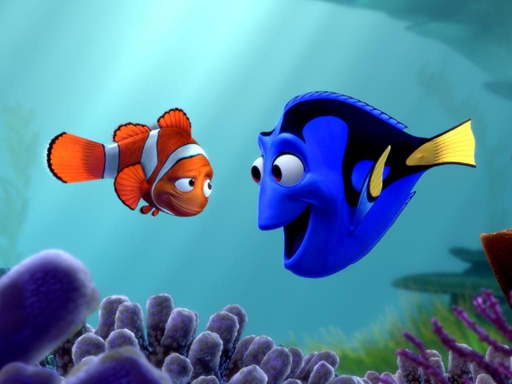 Beautiful Nemo Fish Wallpaper ~ WALLPAPERS