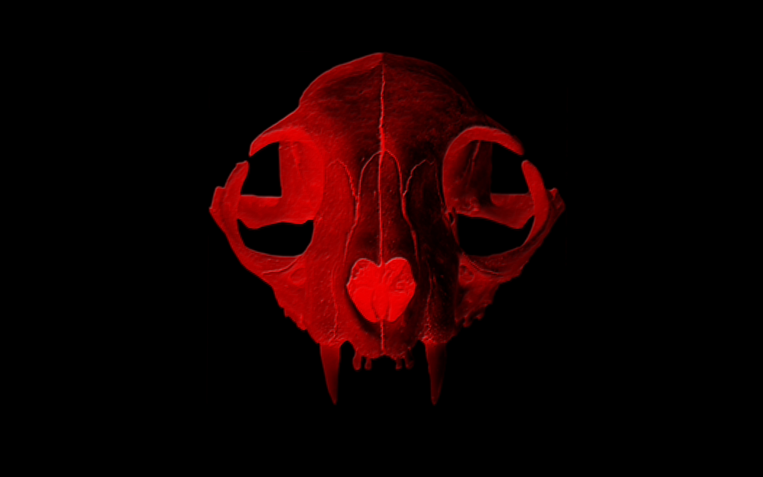 Red skulls wallpaper | danaspdf.top