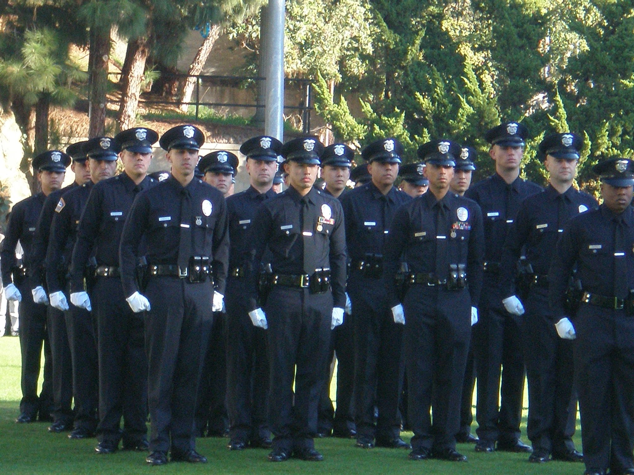 LAPD Blog: Editorials