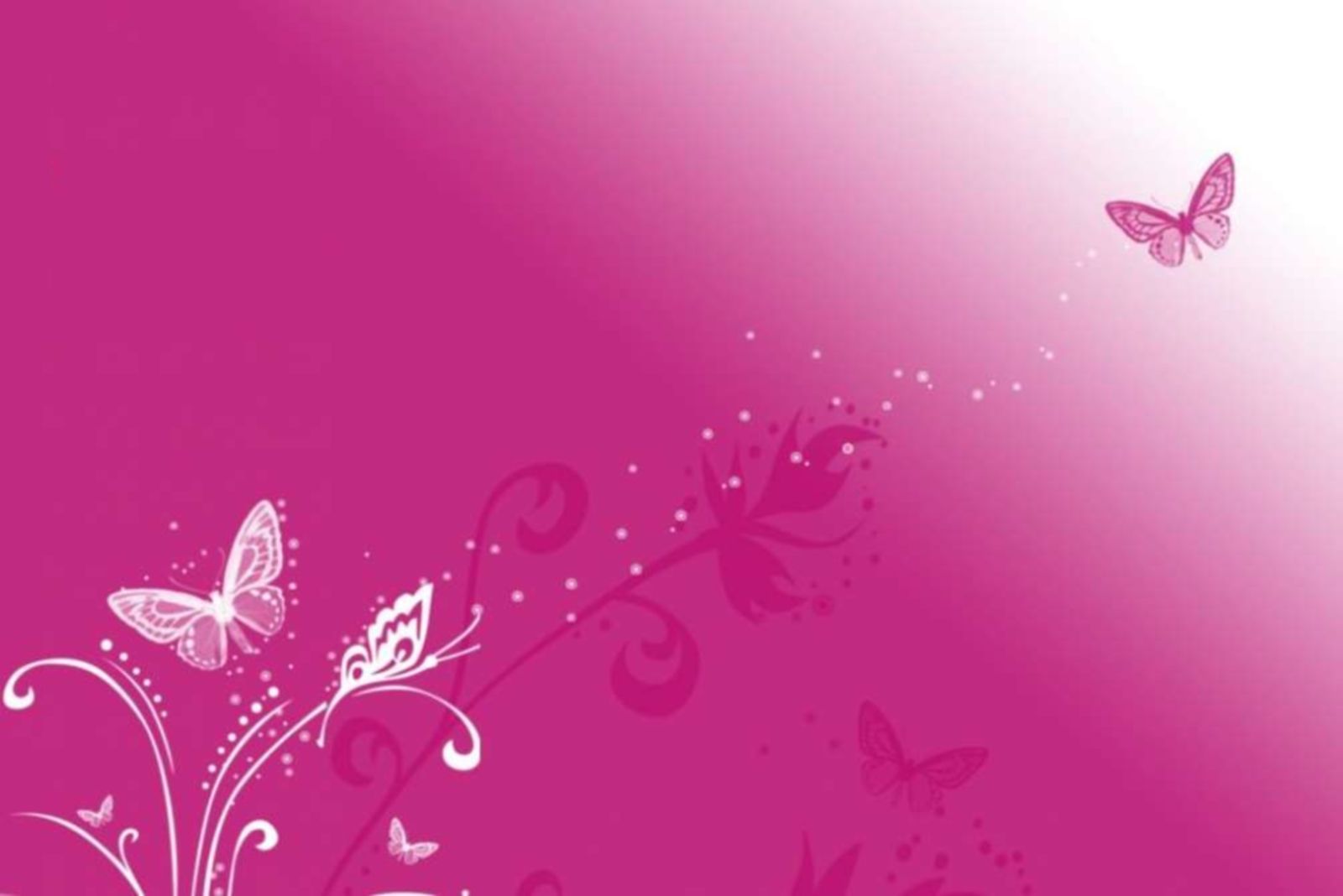 Butterfly Pink Wallpaper - Desktop Backgrounds