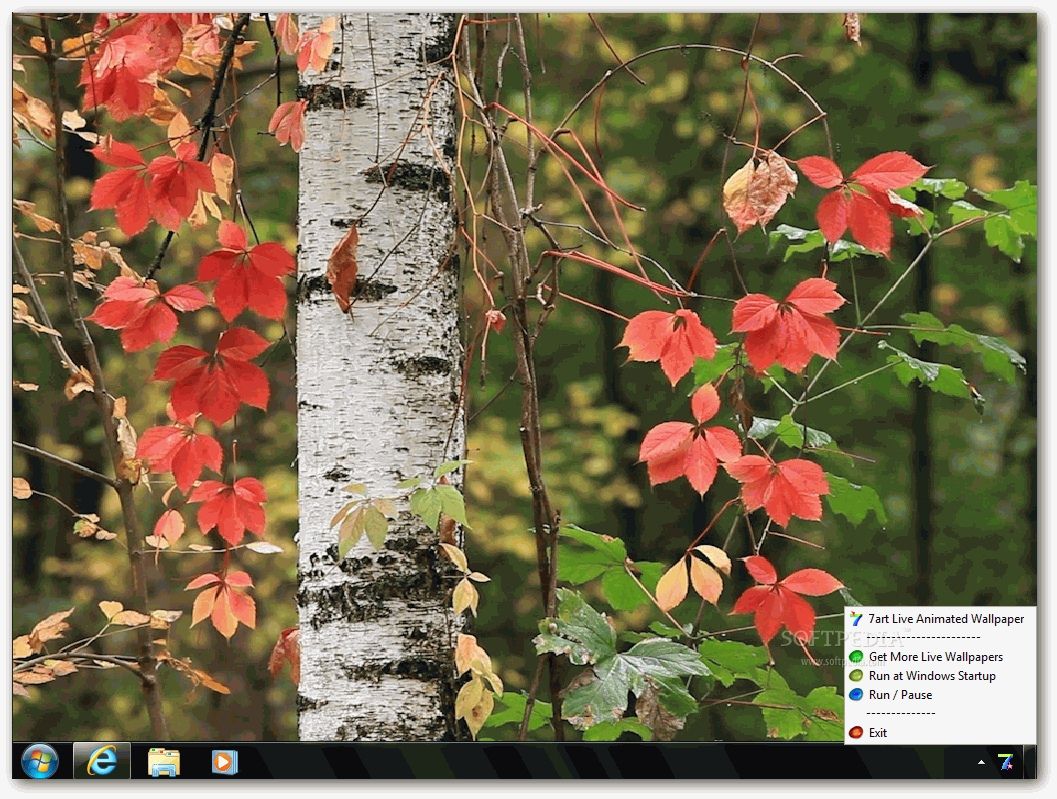 Autumn Landscape HD Live Wallpaper Download