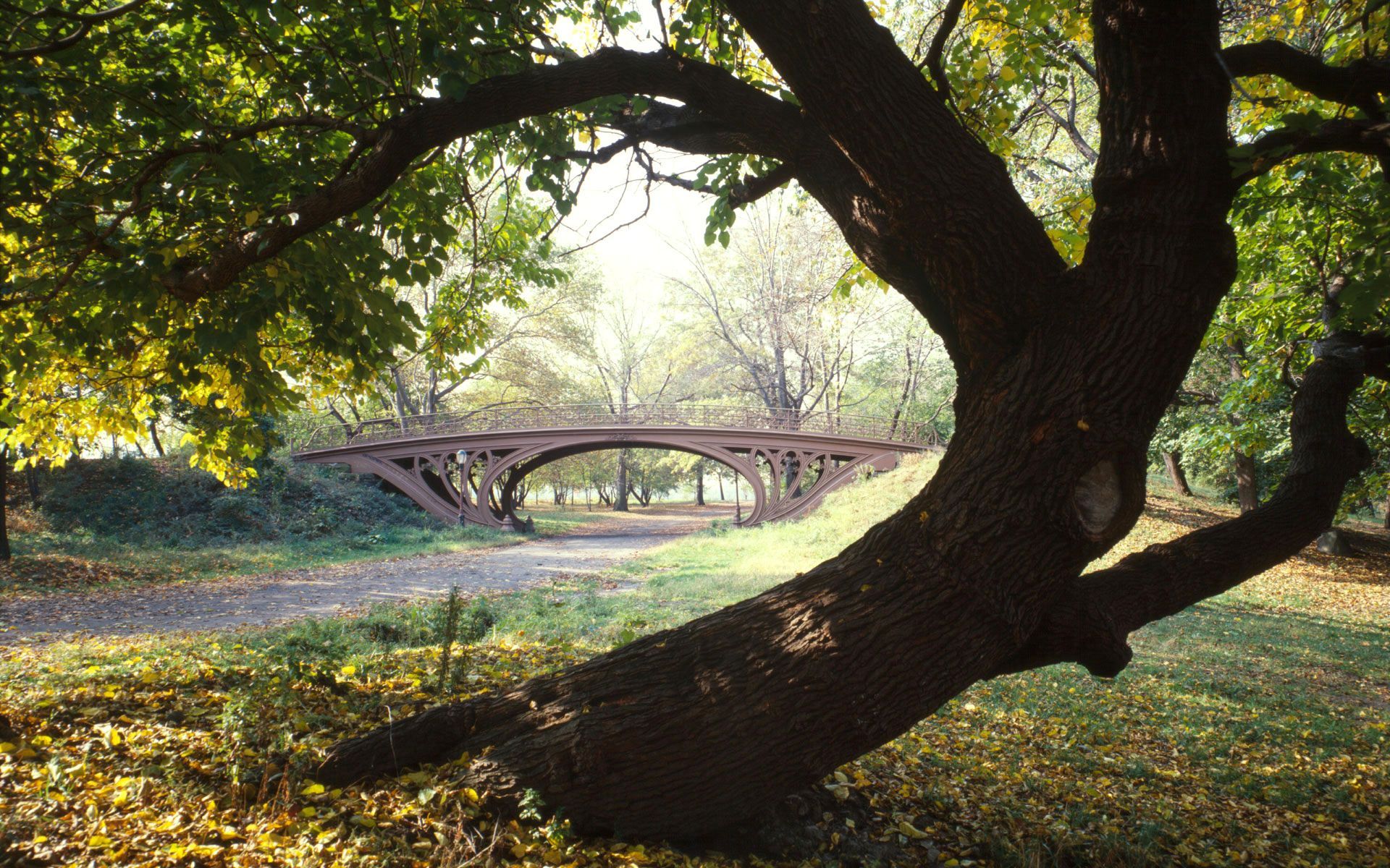 Theme Bin» Blog Archive » Central Park, New York City HD Wallpaper