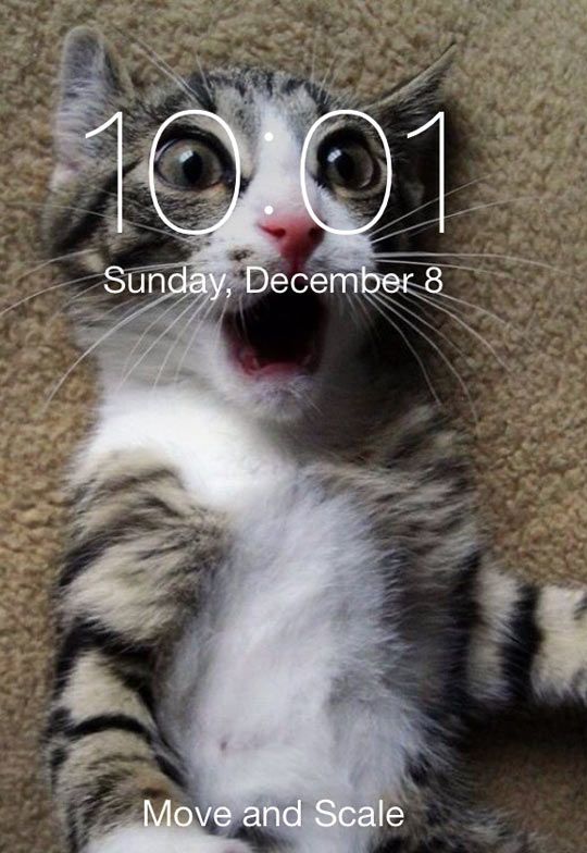 The coolest iPhone background... - The Meta Picture