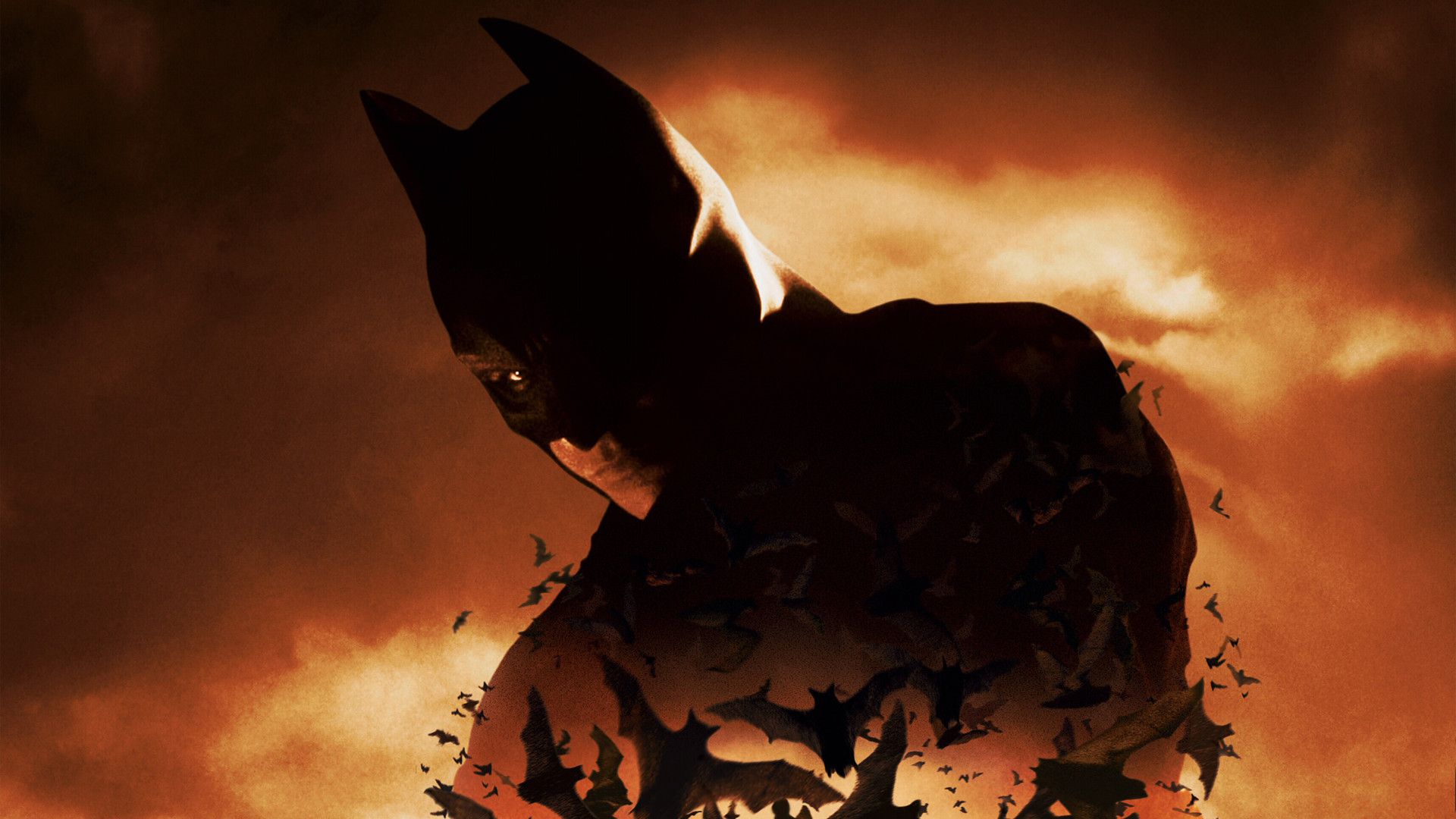 BATMAN BEGINS superhero f wallpaper | 1920x1080 | 101464 | WallpaperUP