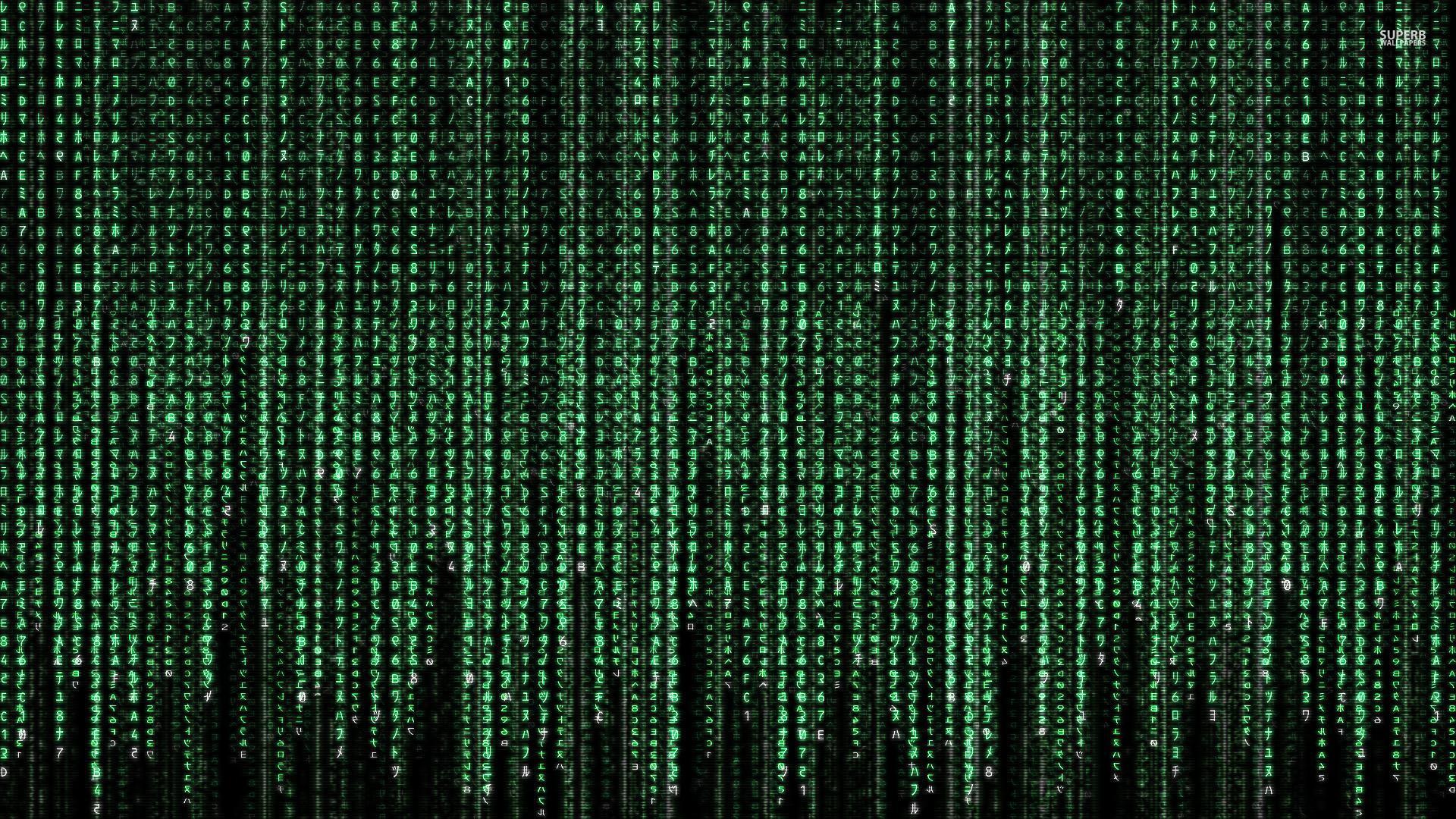 Matrix : Desktop and mobile wallpaper : Wallippo