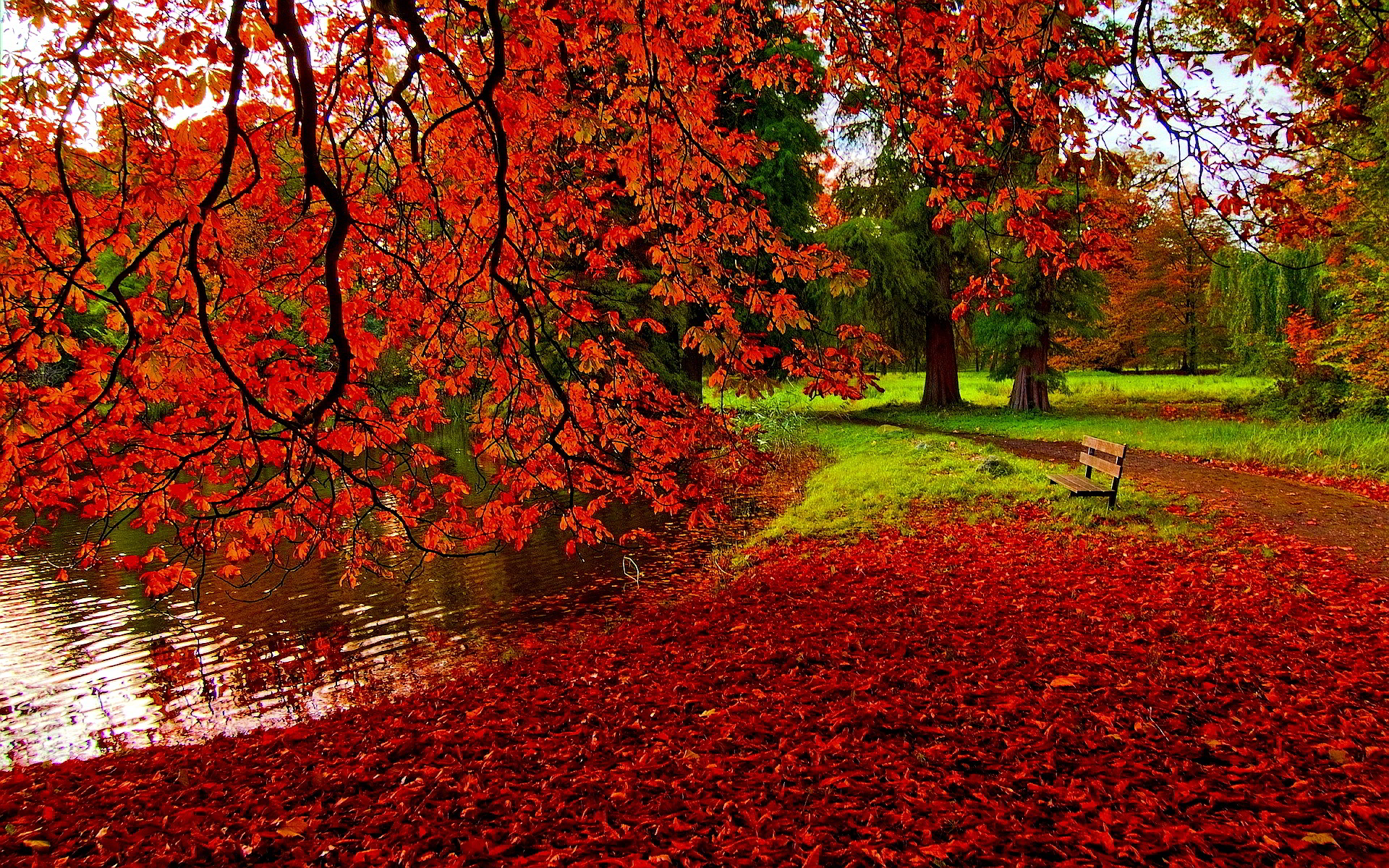 Autumn leaves backgrounds danasrgi.top