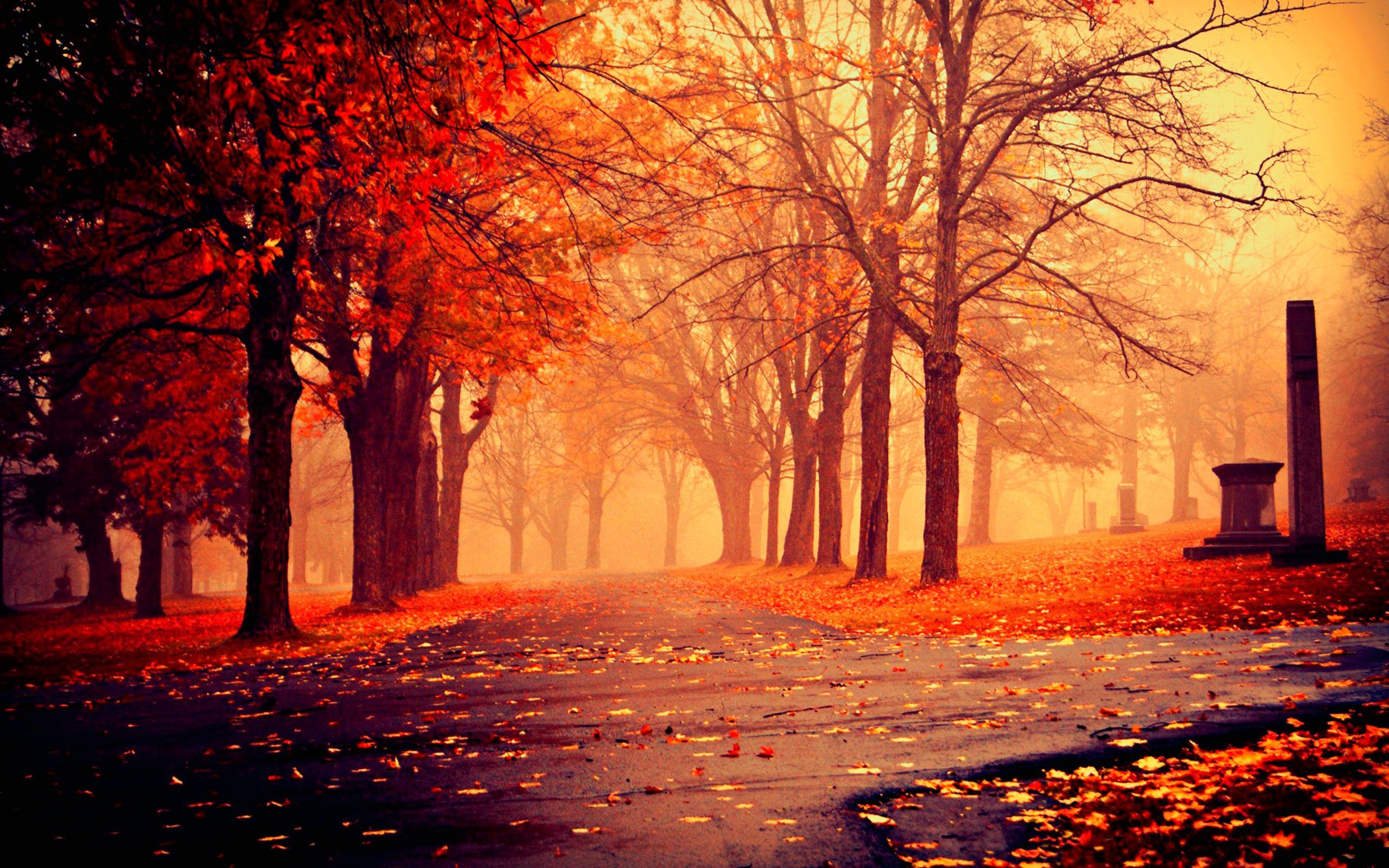 Autumn Nature Wallpapers HD Pictures | One HD Wallpaper Pictures ...