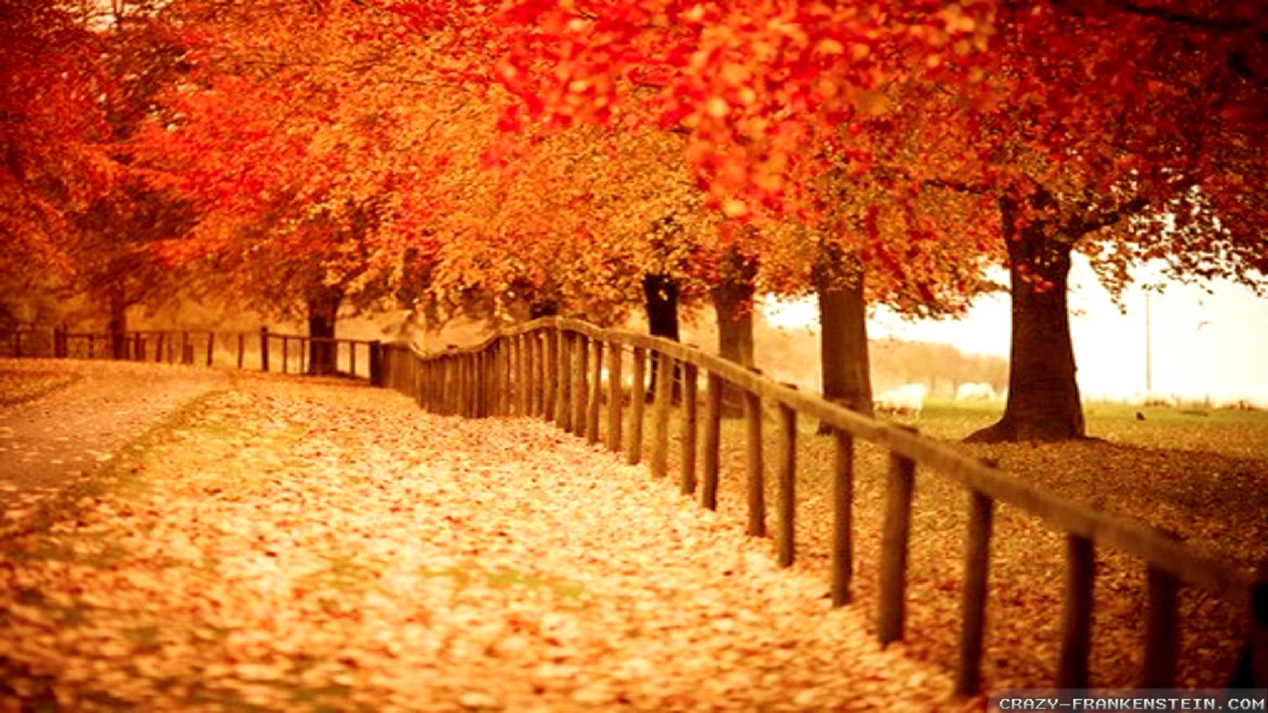 Autumn Wallpapers, Free Desktop Backgrounds - Wallpaper Path
