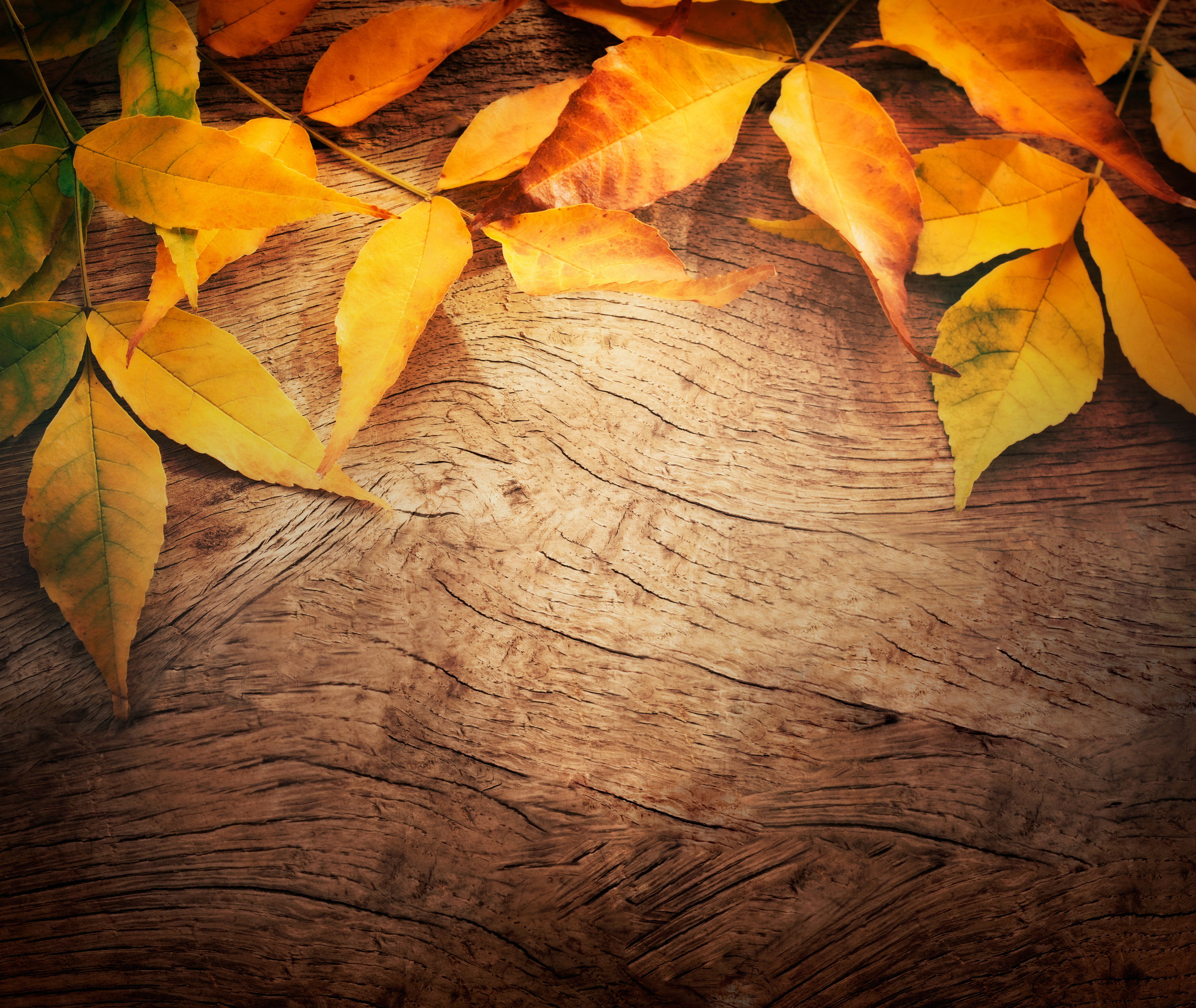 Wooden Background with Autumn Leavesm1399676400