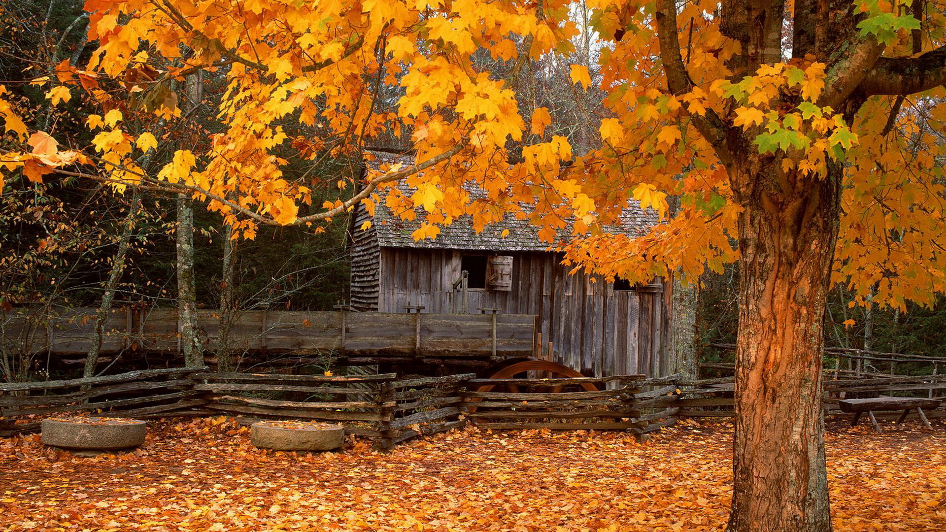 Autumn Backgrounds Desktop | Wallpapers, Backgrounds, Images, Art ...