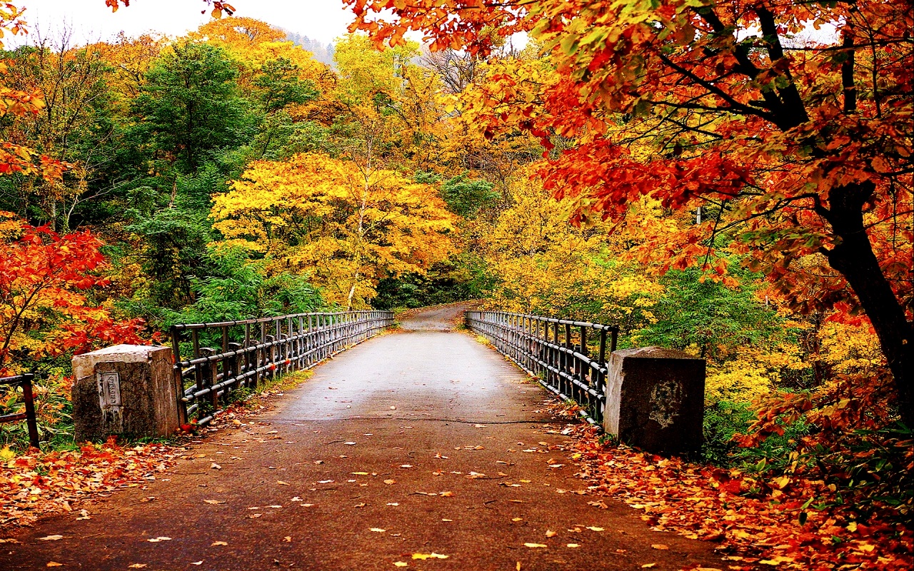 13 Quality Autumn Wallpapers, Photography