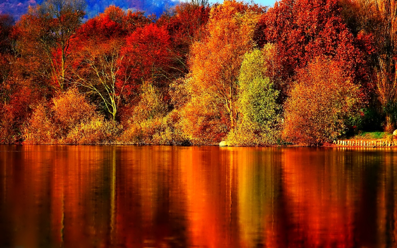 Nature Backgrounds In High Quality: Autumn by Tom Gil, Wed 29 Jul ...