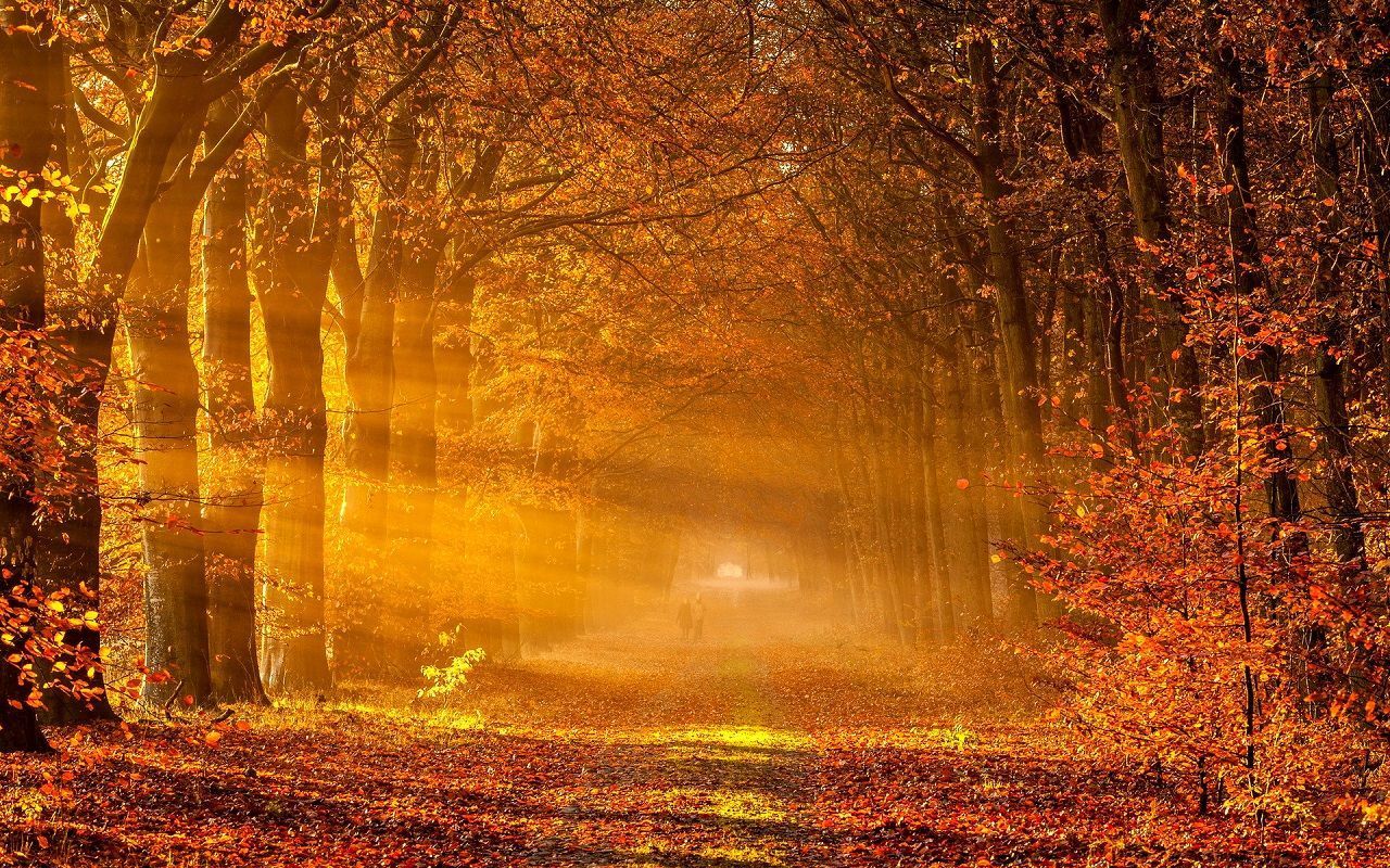 Autumn Pictures Wallpaper | Important Wallpapers