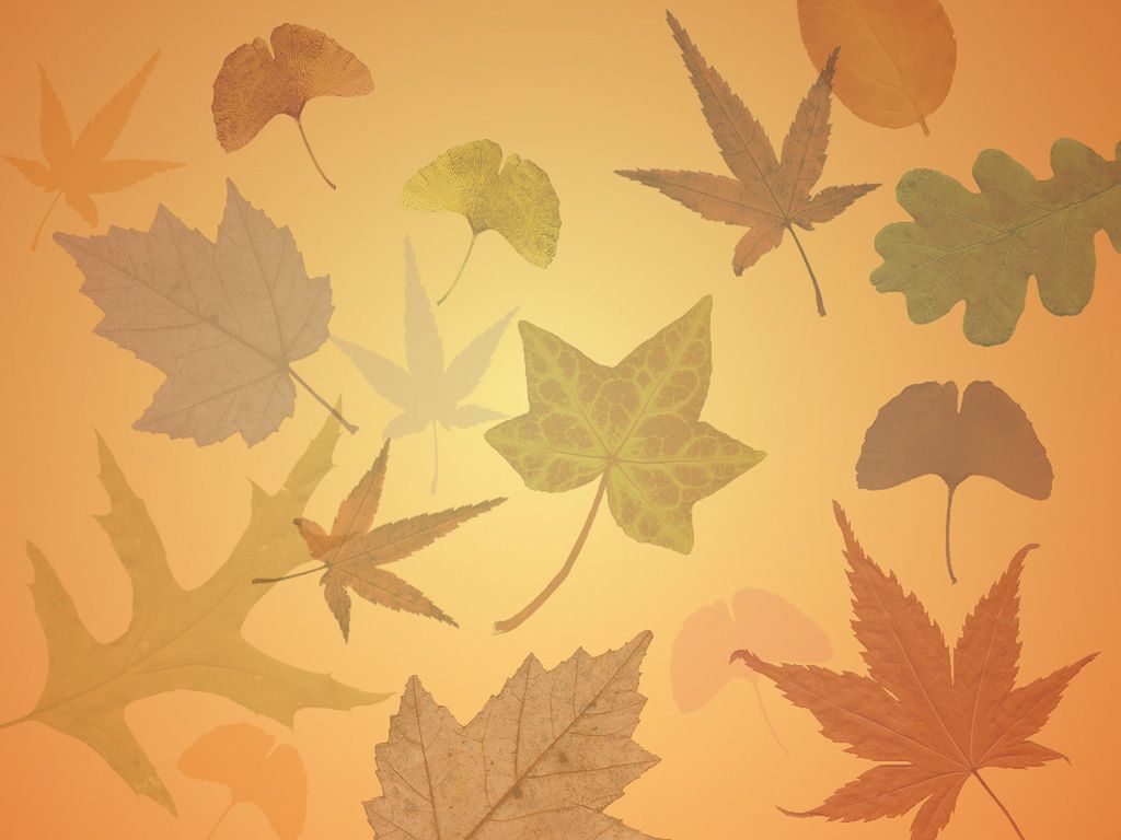 Download HD Autumn Wallpapers For Desktop Background Free | HD ...