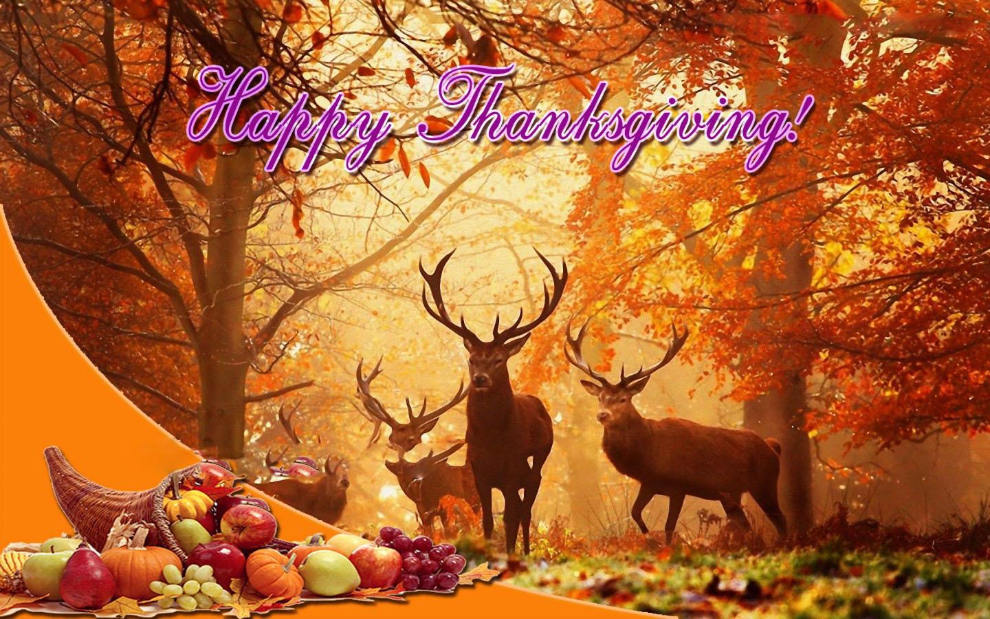 Thanksgiving Pictures Wallpapers