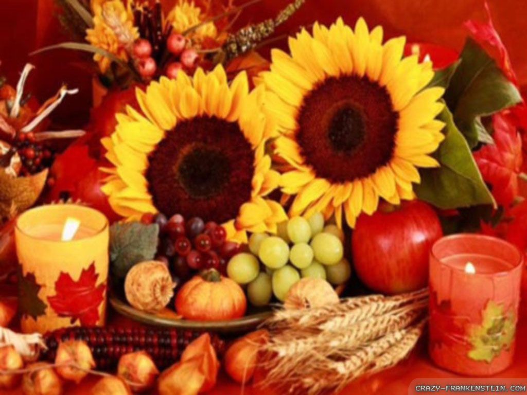 Thanksgiving Day Decorations wallpapers - Crazy Frankenstein
