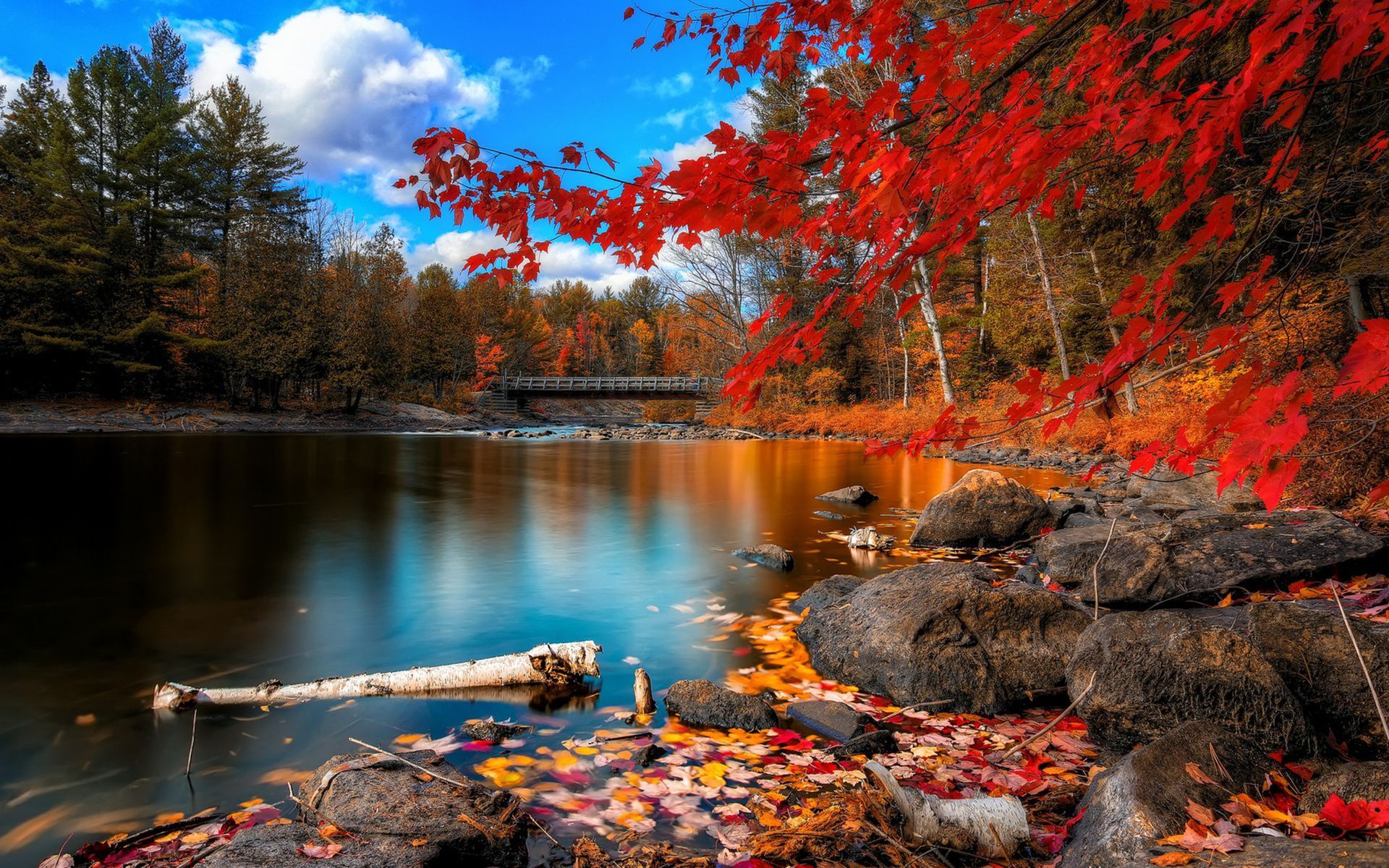 Fall Season Desktop Wallpaper | Desktop Image