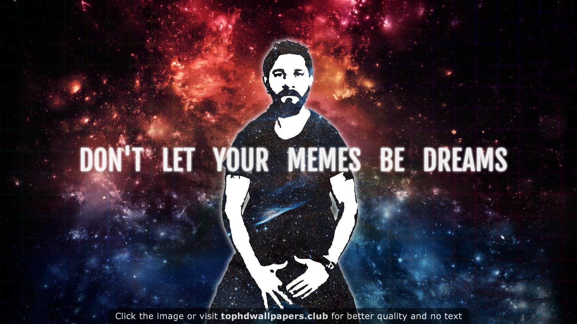 Shia LaBeouf 4K or HD wallpaper for your PC, Mac or Mobile device