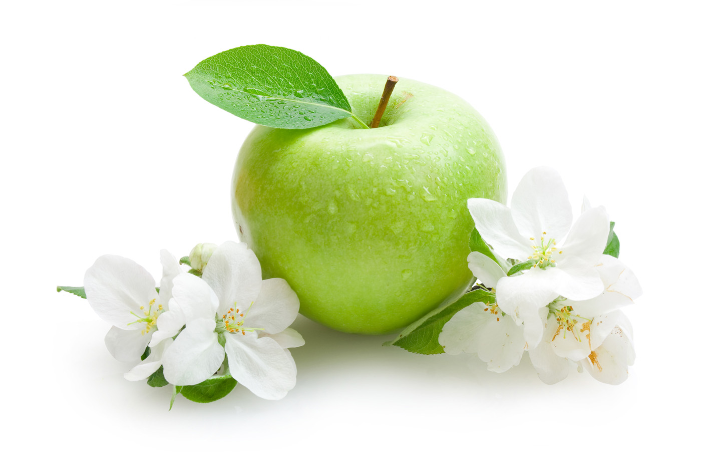 High Definition apple wallpaper for free download