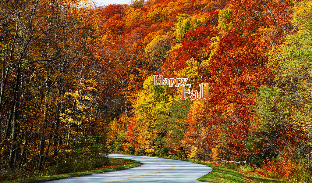 Fall Wallpapers, Fall Facebook Covers, Fall Printables by Kate.net