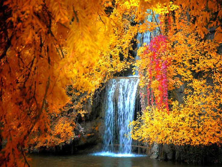 Free Fall Screensavers and Wallpaper | ... Free Waterfall in ...