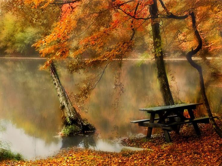 Free Fall Screensavers and Wallpaper The Free autumn bench