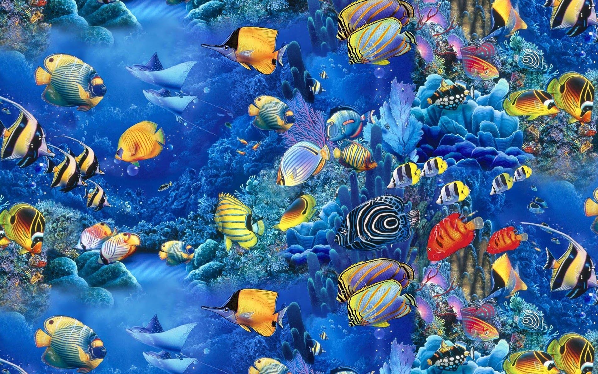 New Fish Wallpapers Group (66+)