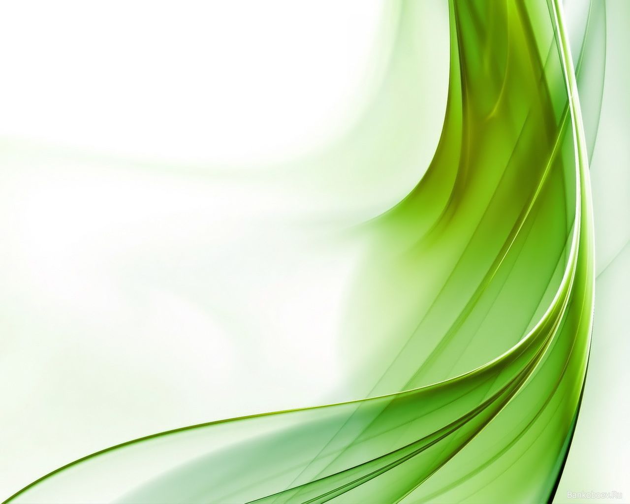 Green White Wallpaper - Desktop Backgrounds