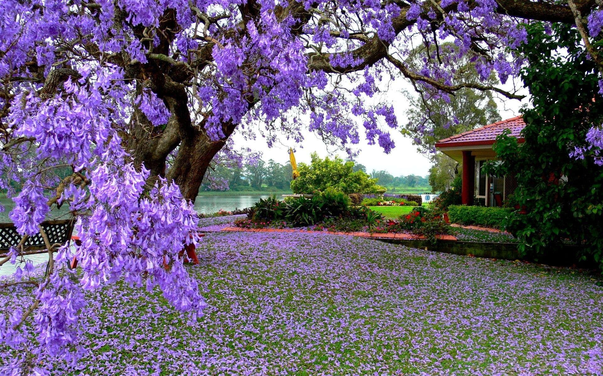 Wallpaper Nature Spring HD Desktop | I HD Images