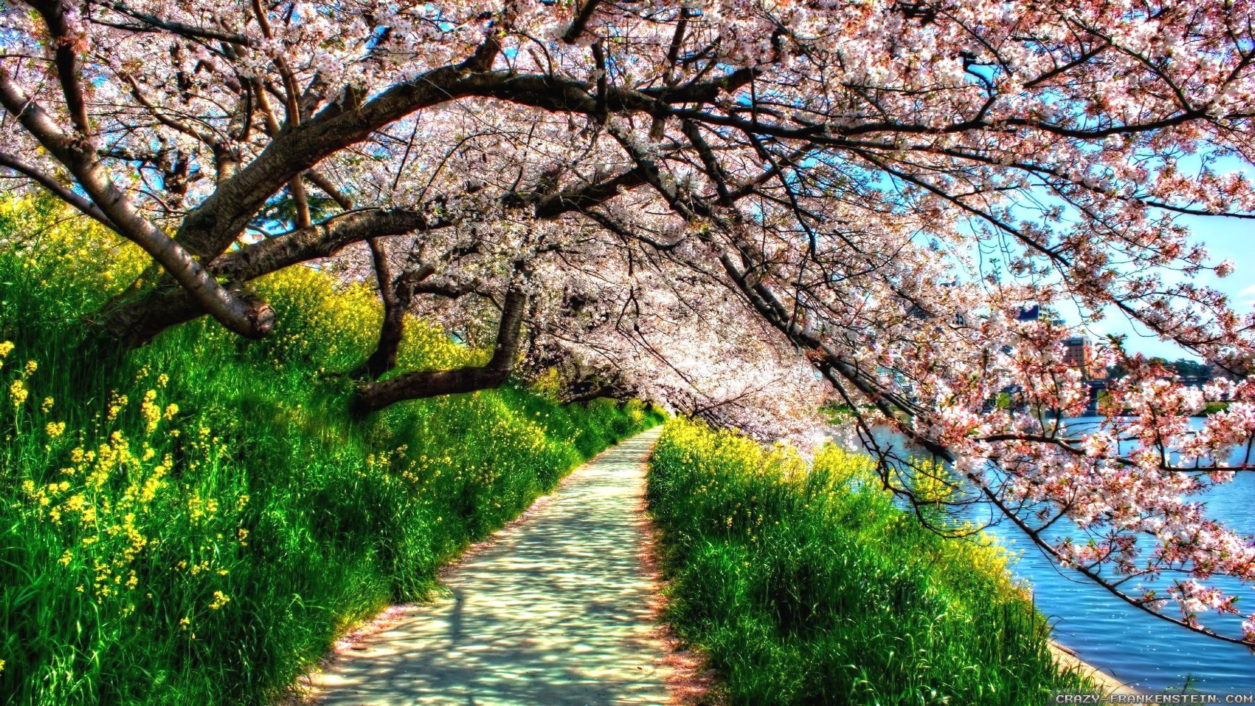 Beautiful Nature Spring - wallpaper.