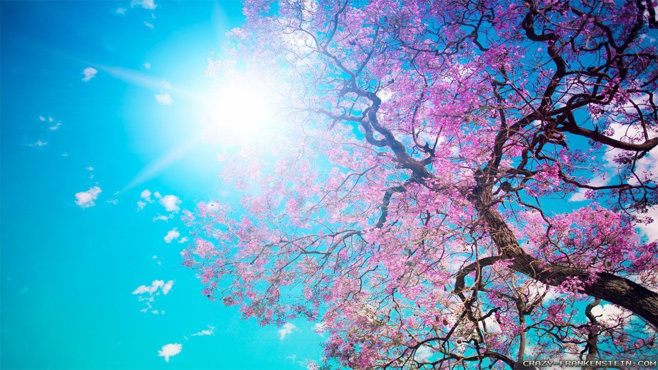 Beautiful Spring Nature Wallpapers - 1280x720 iWallHD - Wallpaper HD
