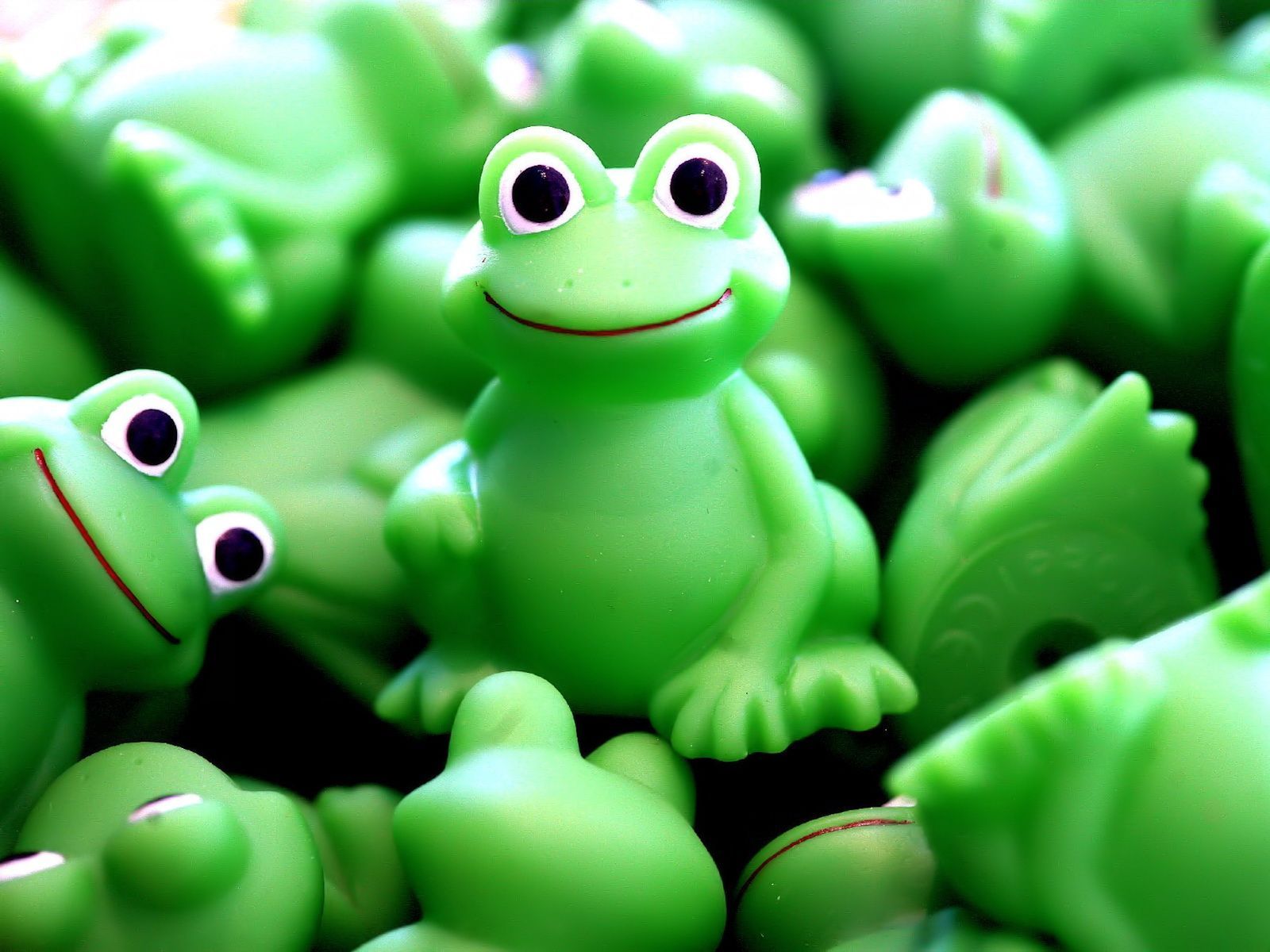 Crazy Frogs wallpapers