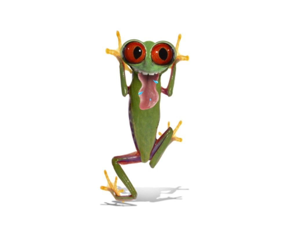 Frogs Silly Frog Acting Funny Crazy Cool Wallpapers ~ Frogs for HD ...