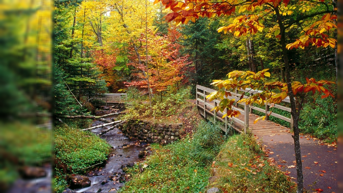 Autumn Landscape Background Fall Scene Panorama Stock Photo  Image of  autumnal quiet 154509752