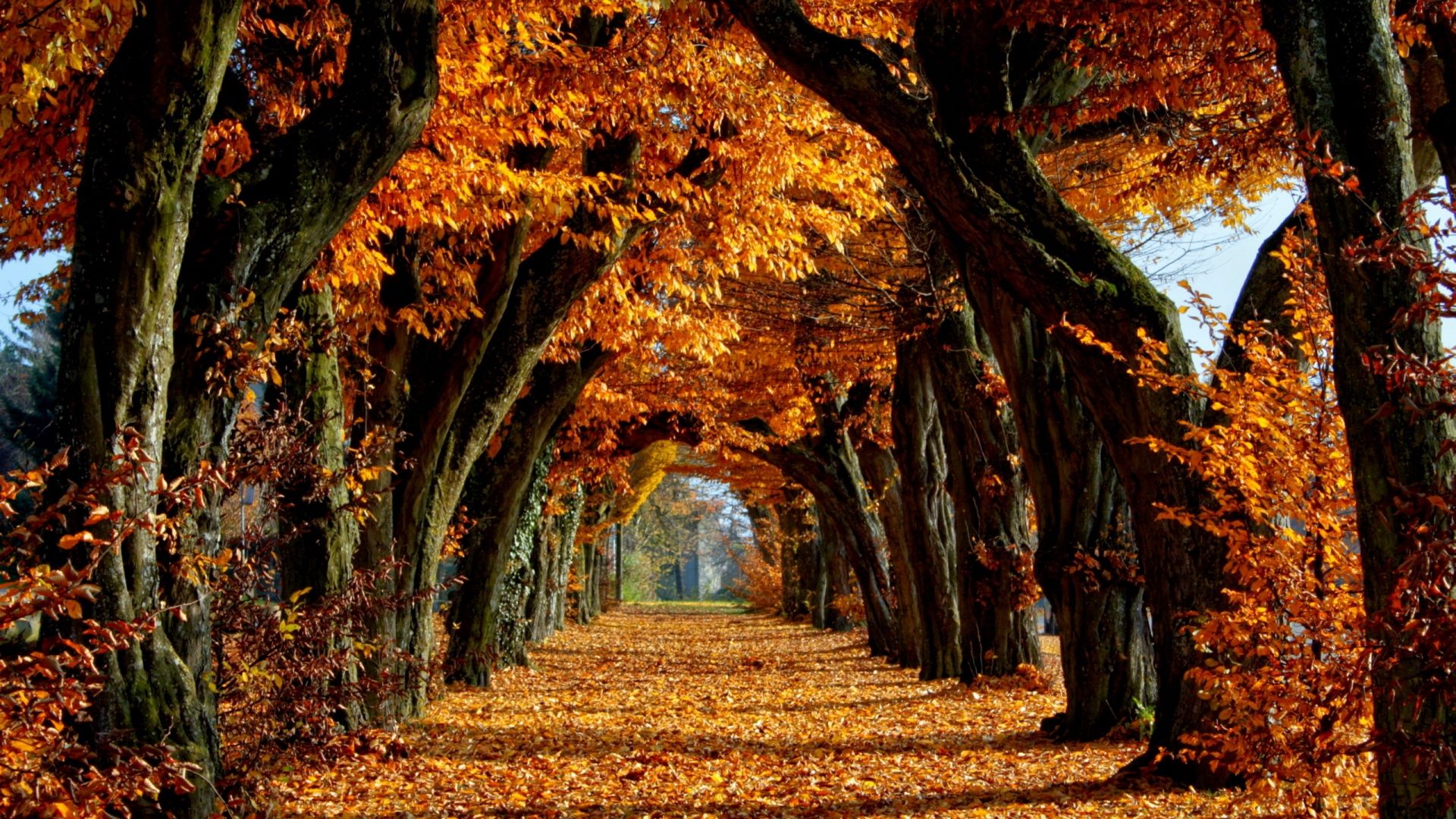 Hd Autumn Wallpapers 3 – HdCoolWallpapers.Com