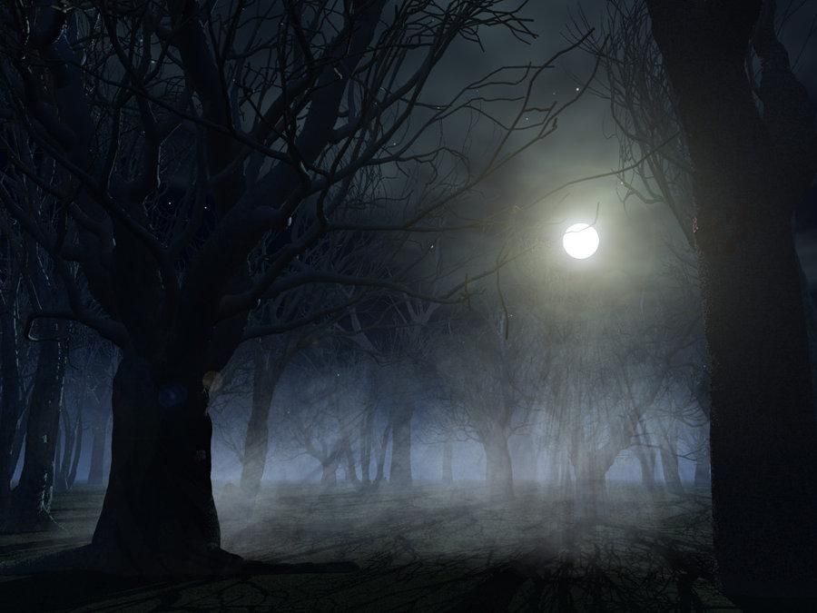 Spooky forest background by indigodeep on Wookmark